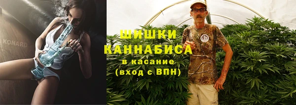 ПСИЛОЦИБИНОВЫЕ ГРИБЫ Кодинск