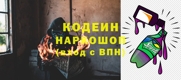 соль ск Козловка