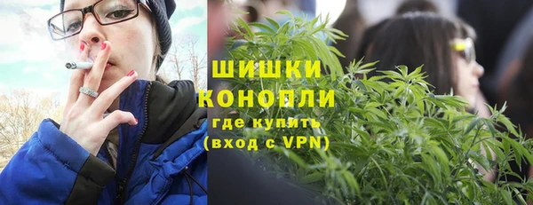 соль ск Козловка
