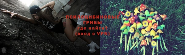 соль ск Козловка