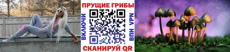 Псилоцибиновые грибы мухоморы  Ленинск-Кузнецкий 